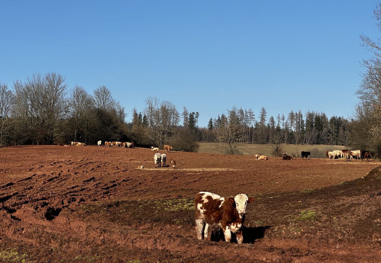 Villa in Mladé Buky - Villa mit Pool,  Skigebiete KJH348
