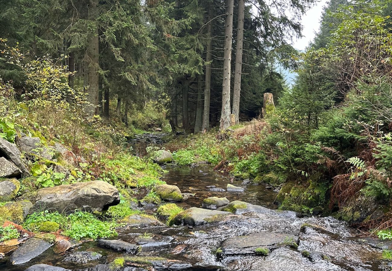 Villa in Mladé Buky - Villa mit Pool,  Skigebiete KJH348