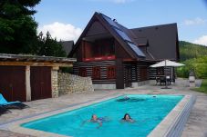Villa in Vidochov - Stupna KSS180