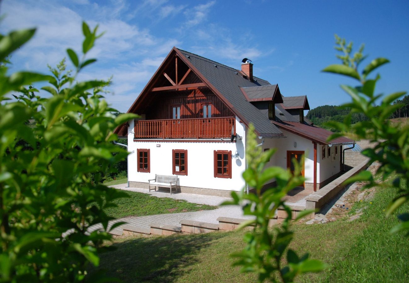 Villa in Vidochov - Stupna KSF095