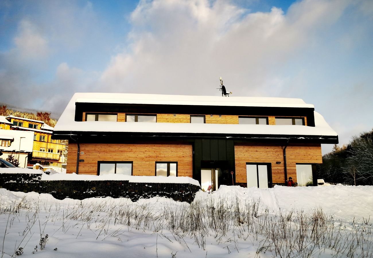Villa in Cerný Dul - Cerny Dul KCD110