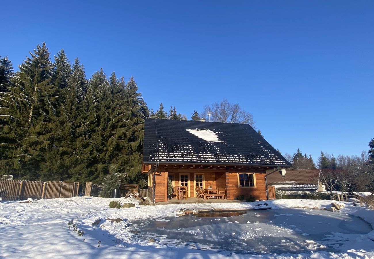 Villa in Borotín - Roubenka Jistebnice - SBO145