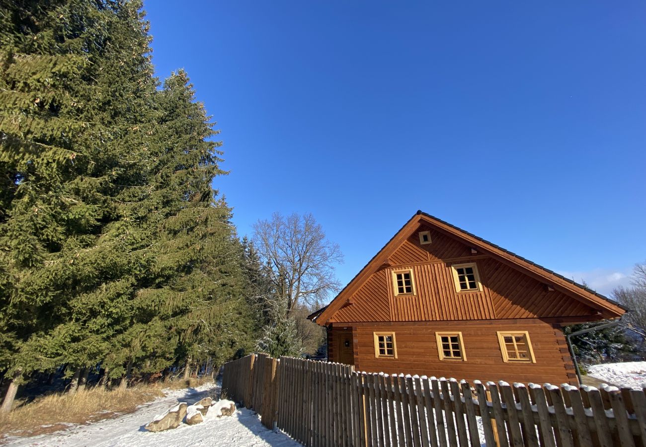 Villa in Borotín - Roubenka Jistebnice - SBO145