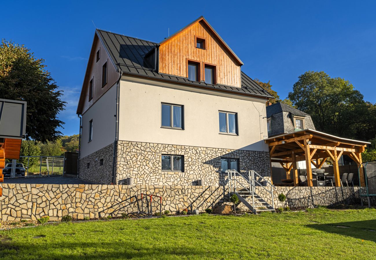 Villa in Dolní Podluží - Jiretín p. Jedlovou - NDW445