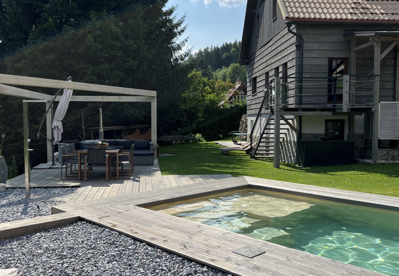 Villa in Tanvald - Tanvald LSH141