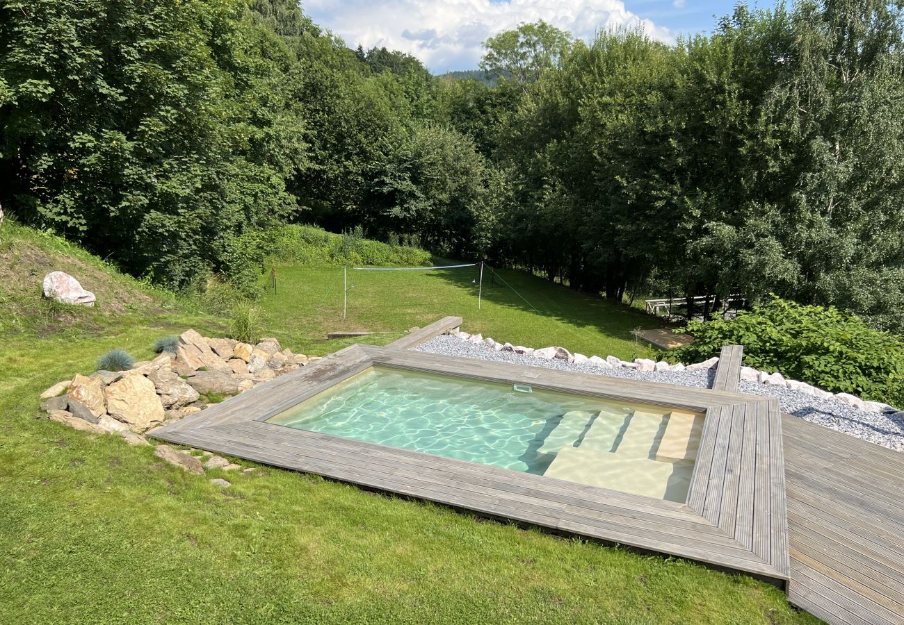 Villa in Tanvald - Tanvald LSH141