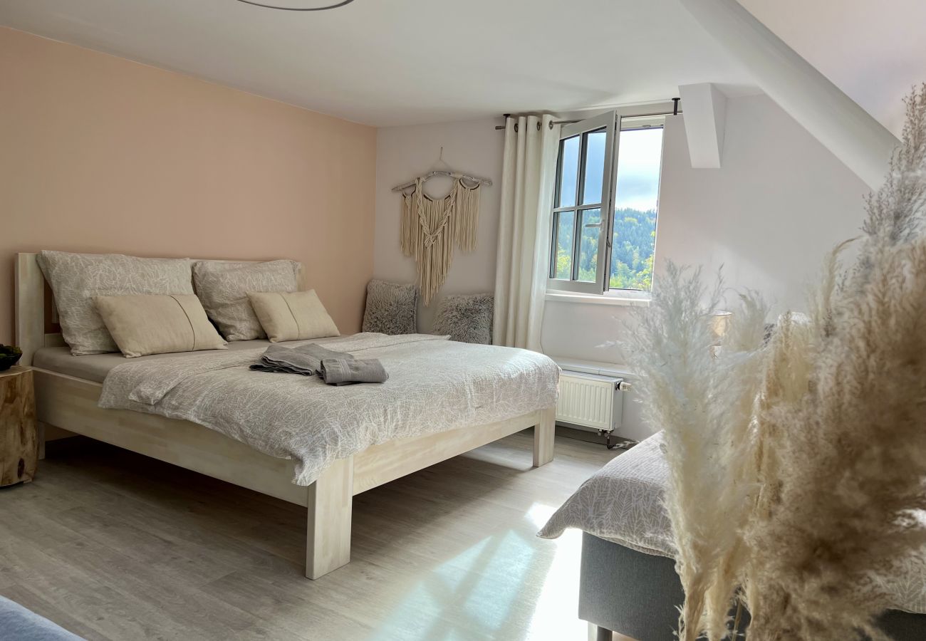 Villa in Tanvald - Tanvald LSH141