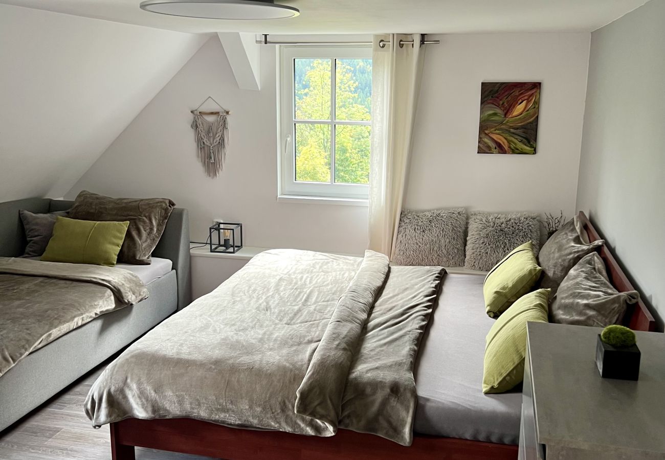 Villa in Tanvald - Tanvald LSH141