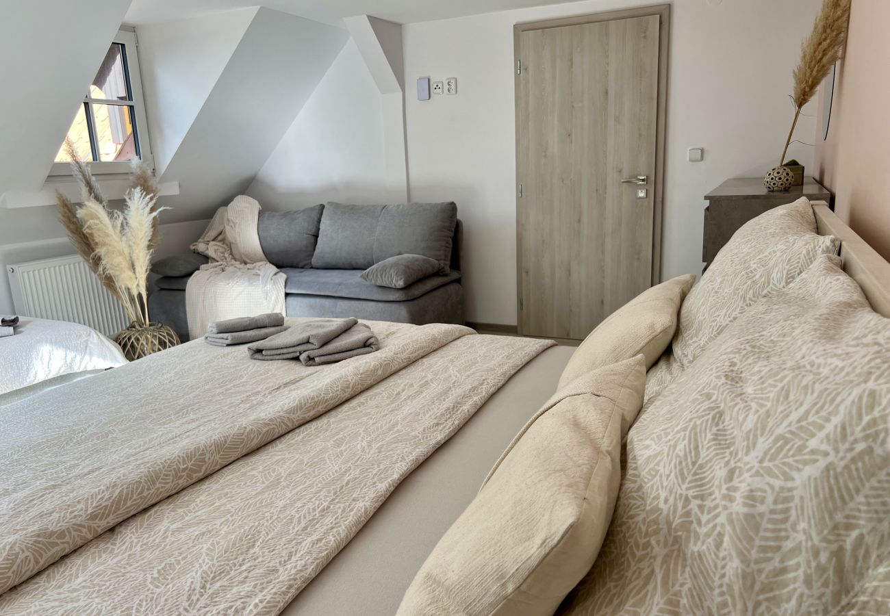 Villa in Tanvald - Tanvald LSH141