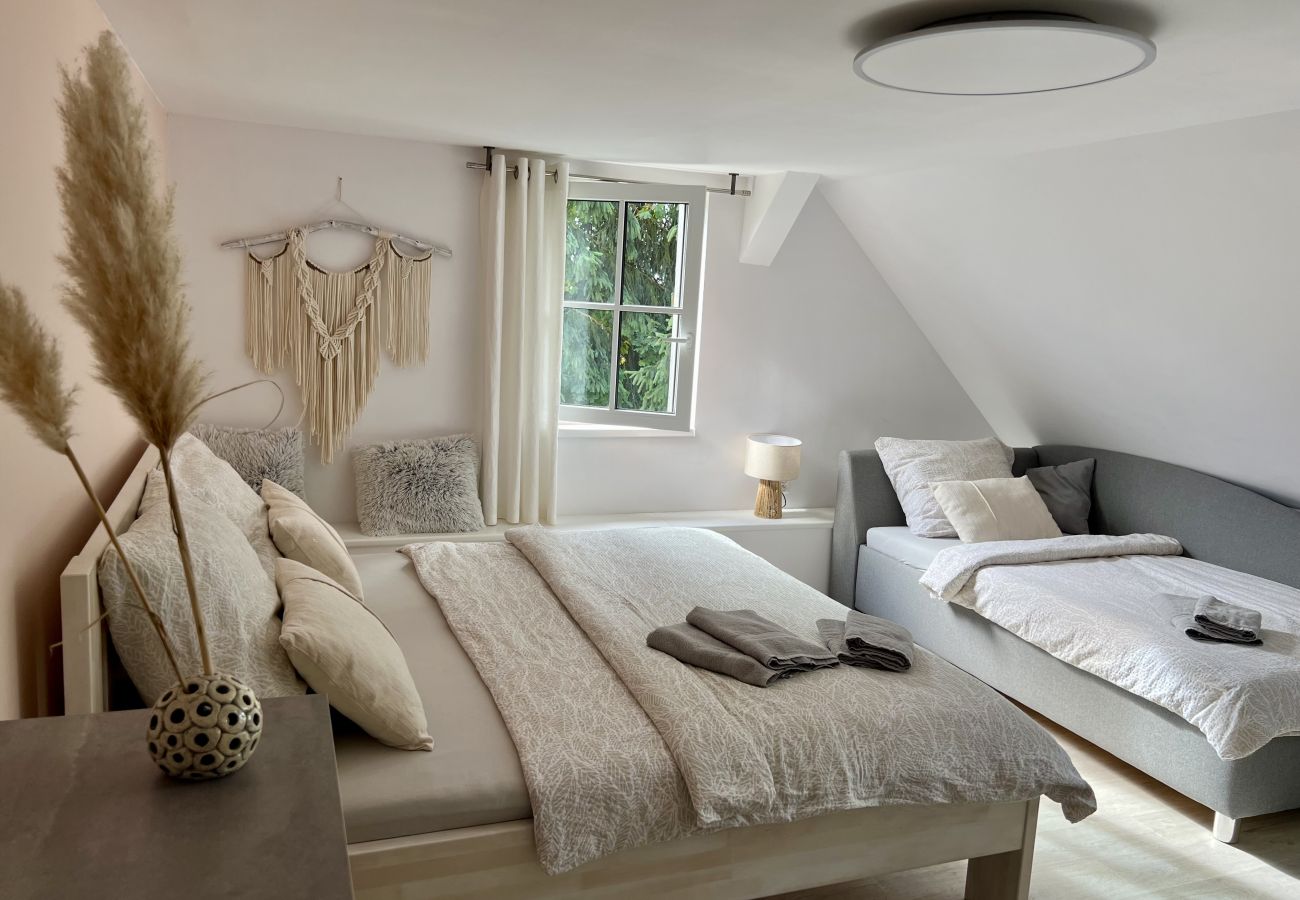 Villa in Tanvald - Tanvald LSH141