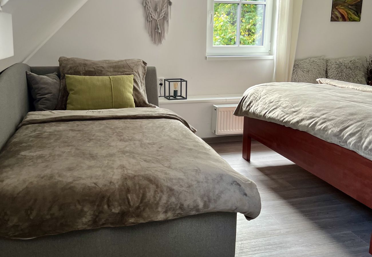 Villa in Tanvald - Tanvald LSH141