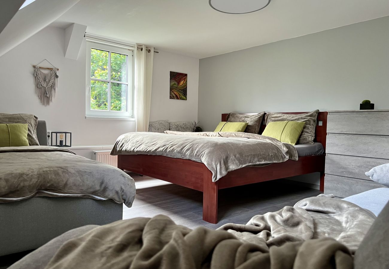 Villa in Tanvald - Tanvald LSH141