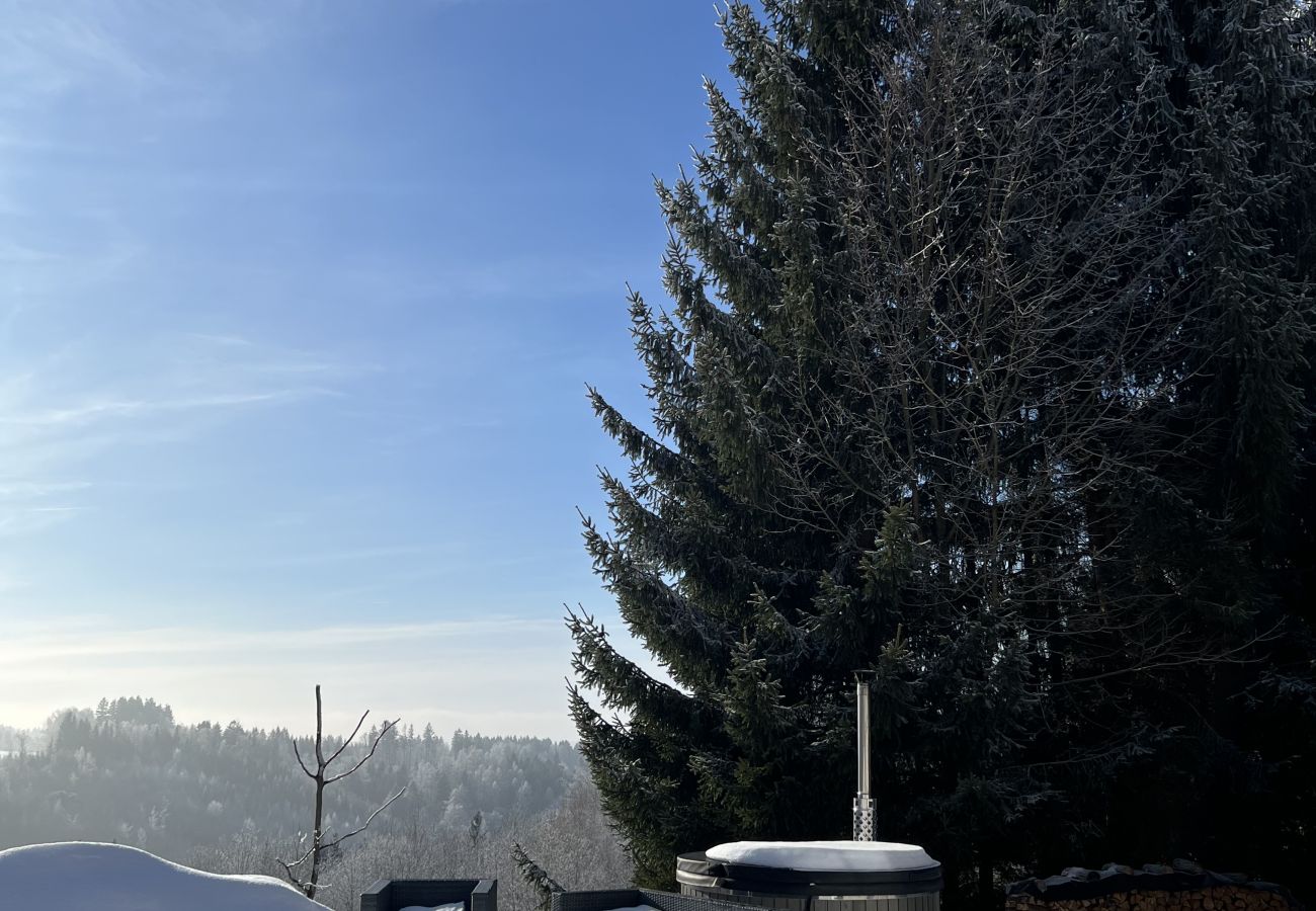 Villa in Tanvald - Tanvald LSH141