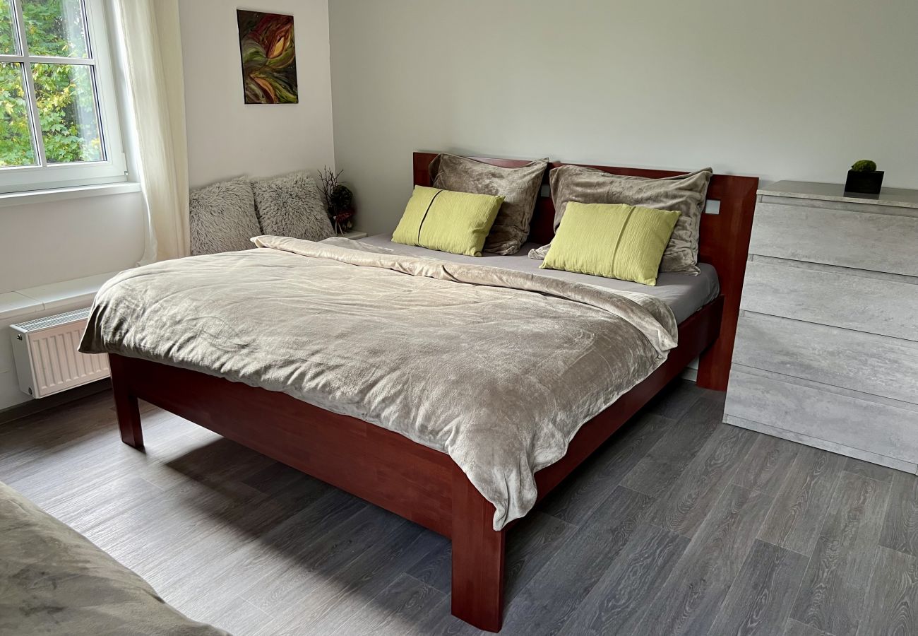 Villa in Tanvald - Tanvald LSH141