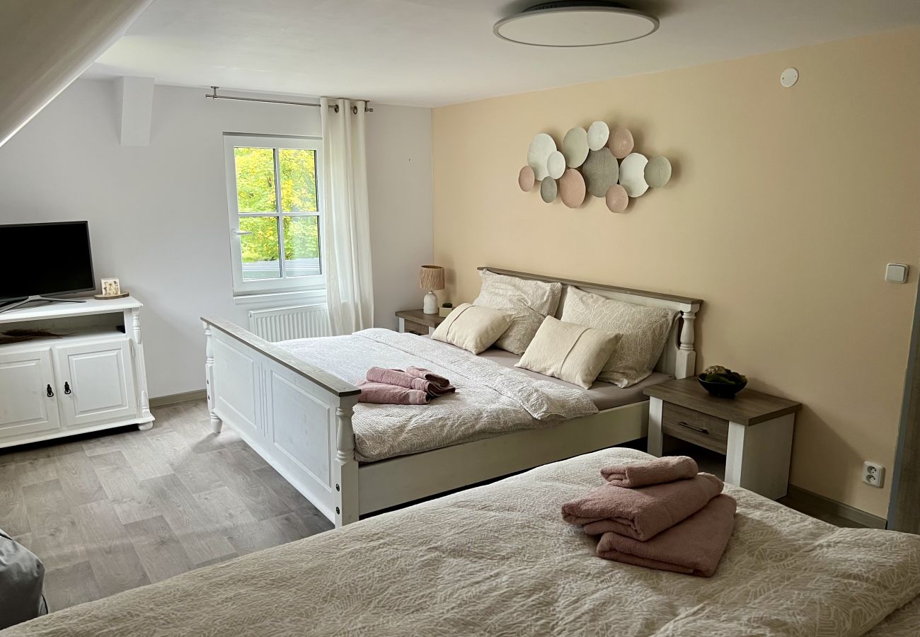 Villa in Tanvald - Tanvald LSH141