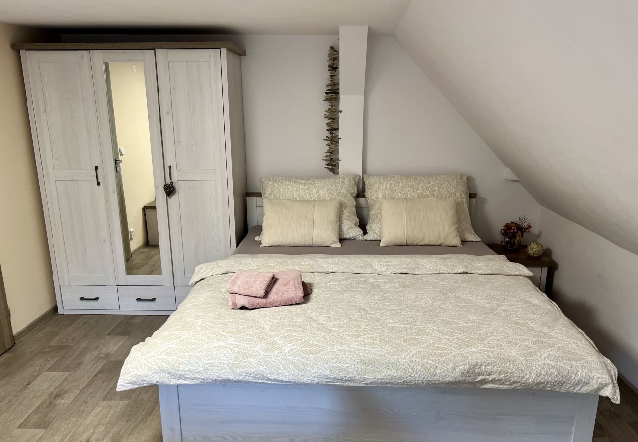 Villa in Tanvald - Tanvald LSH141