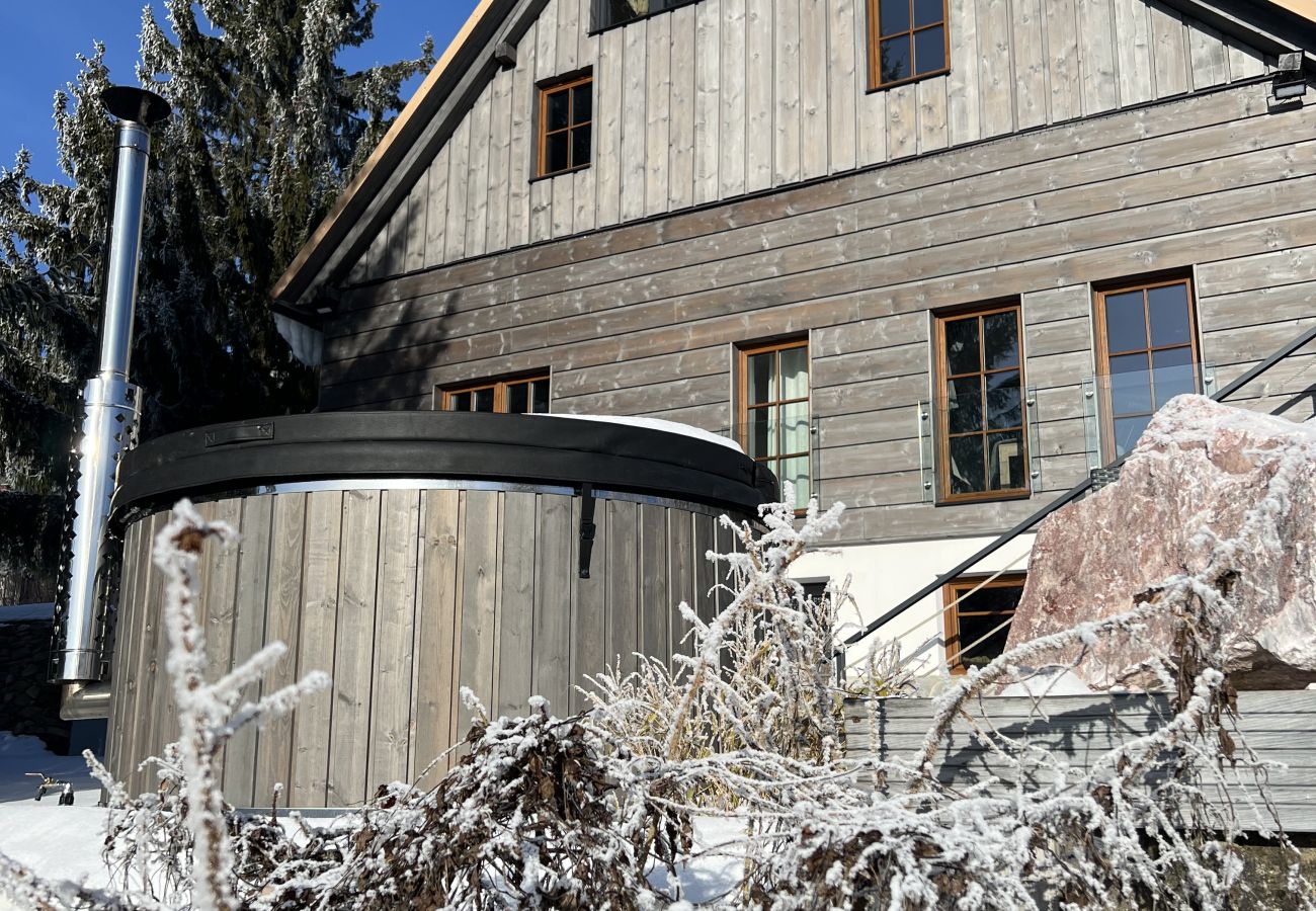 Villa in Tanvald - Tanvald LSH141