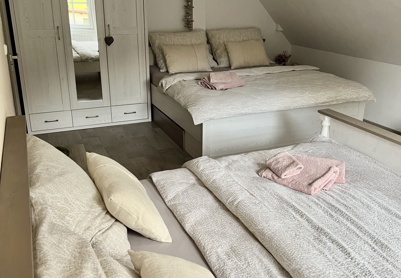 Villa in Tanvald - Tanvald LSH141