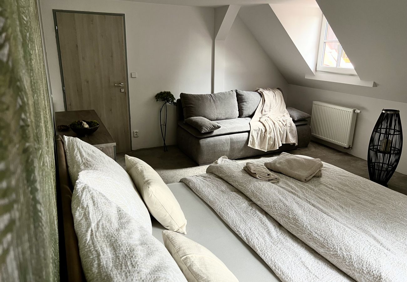 Villa in Tanvald - Tanvald LSH141