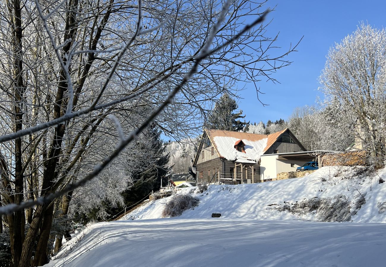 Villa in Tanvald - Tanvald LSH141