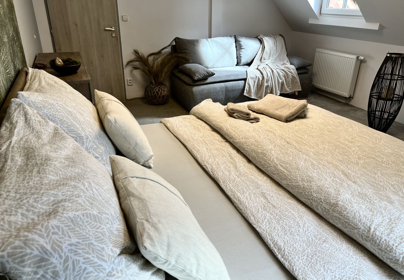 Villa in Tanvald - Tanvald LSH141