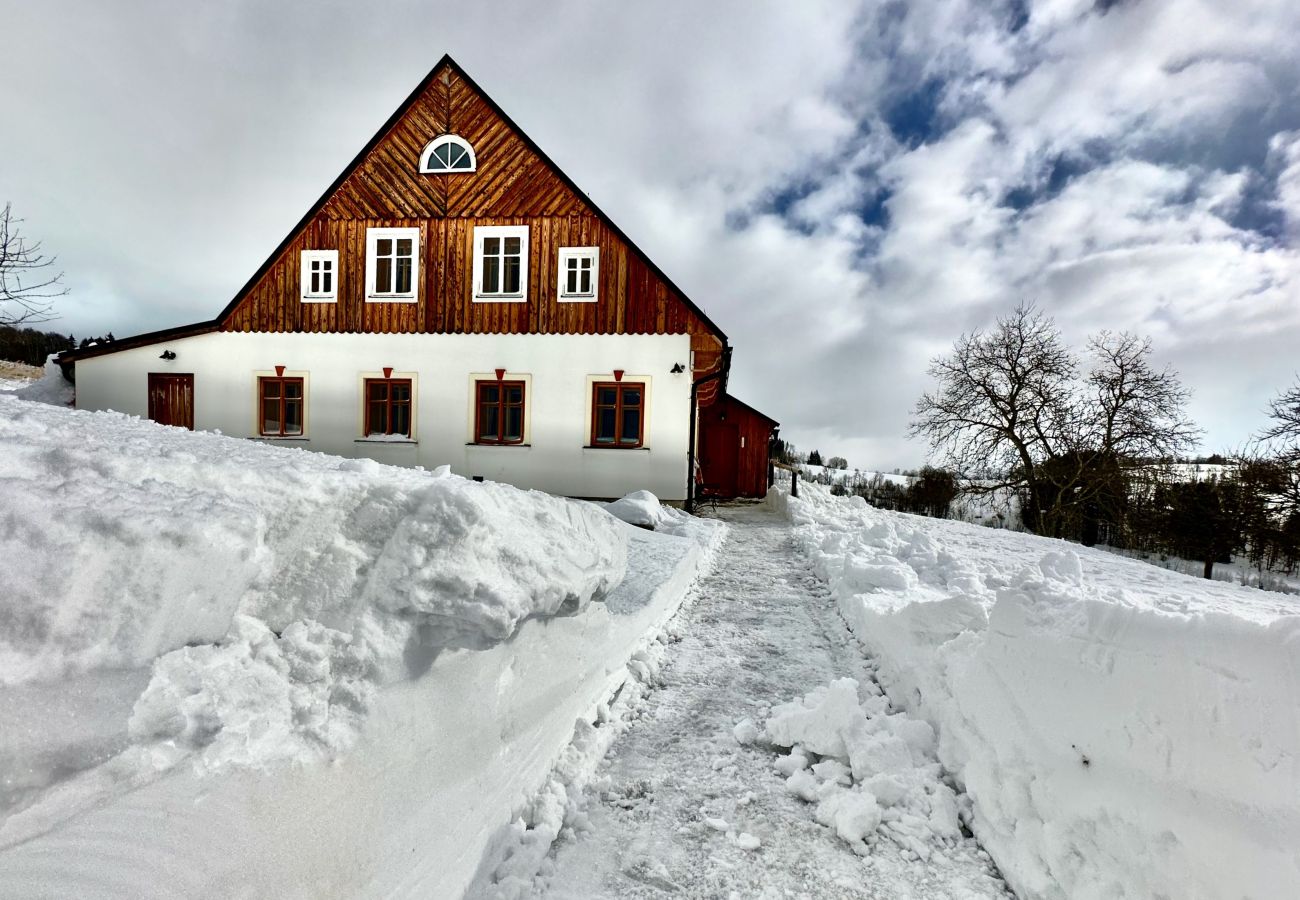 Villa in Víchová nad Jizerou - Víchová nad Jizerou LVV033