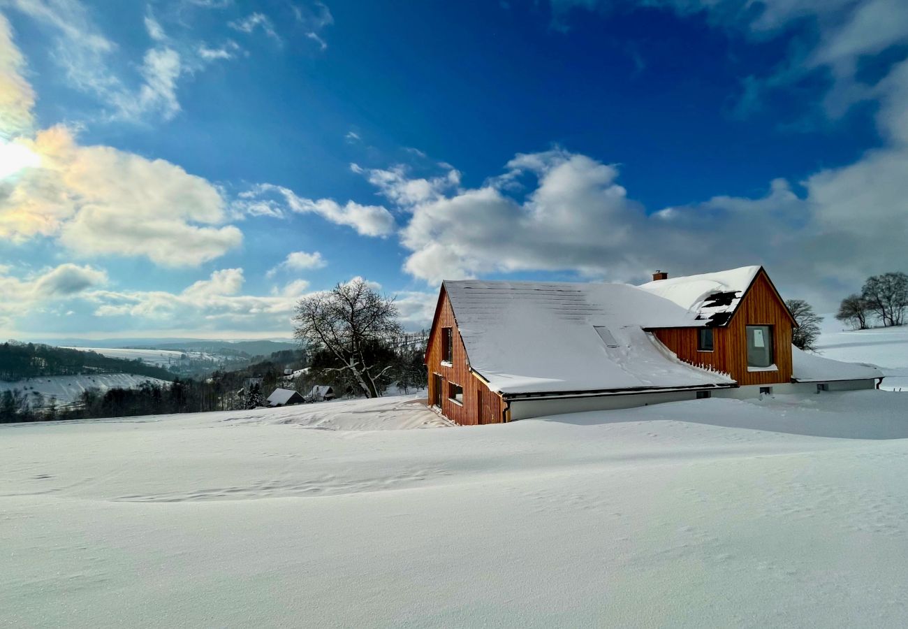 Villa in Víchová nad Jizerou - Víchová nad Jizerou LVV033