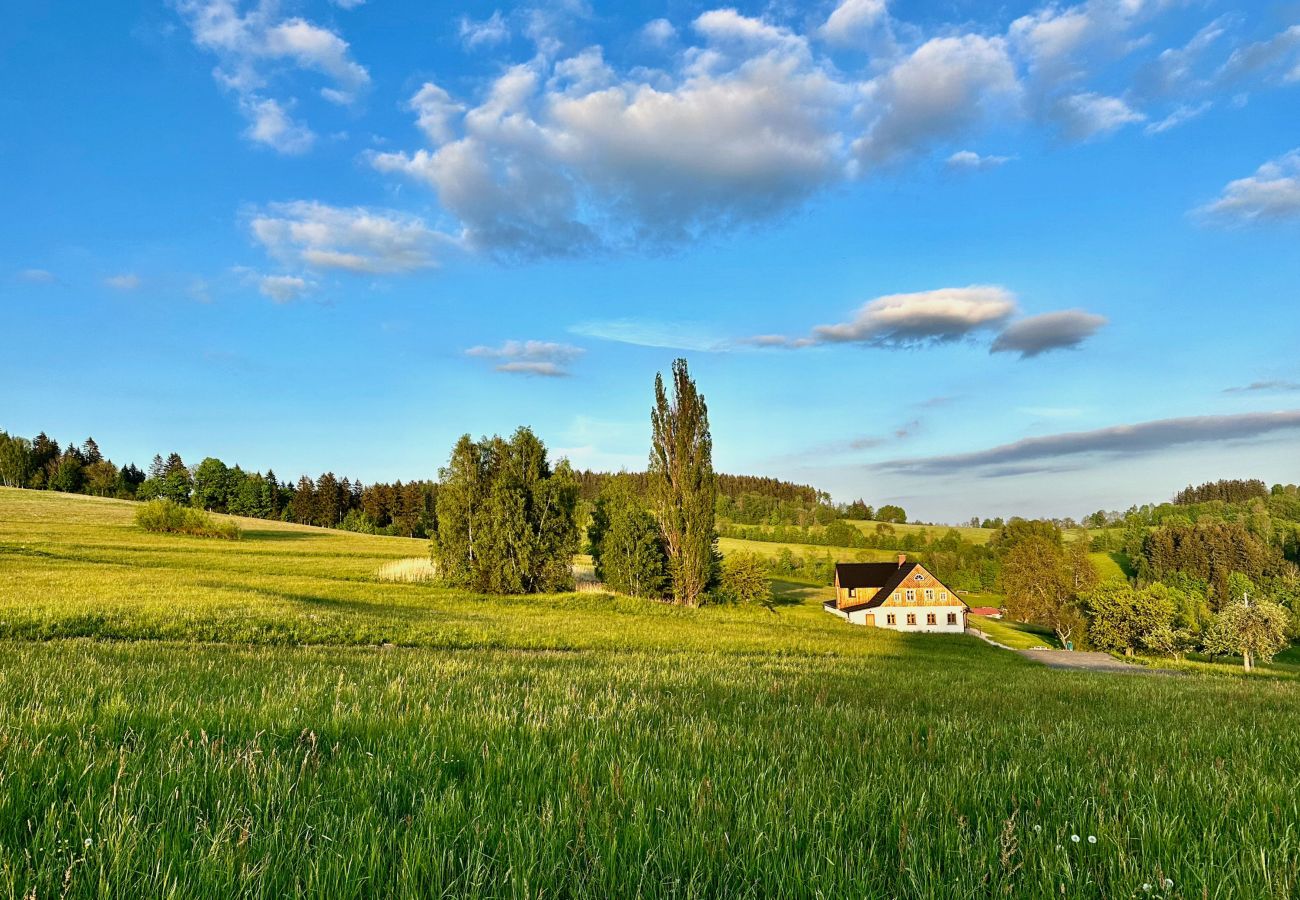 Villa in Víchová nad Jizerou - Víchová nad Jizerou LVV033