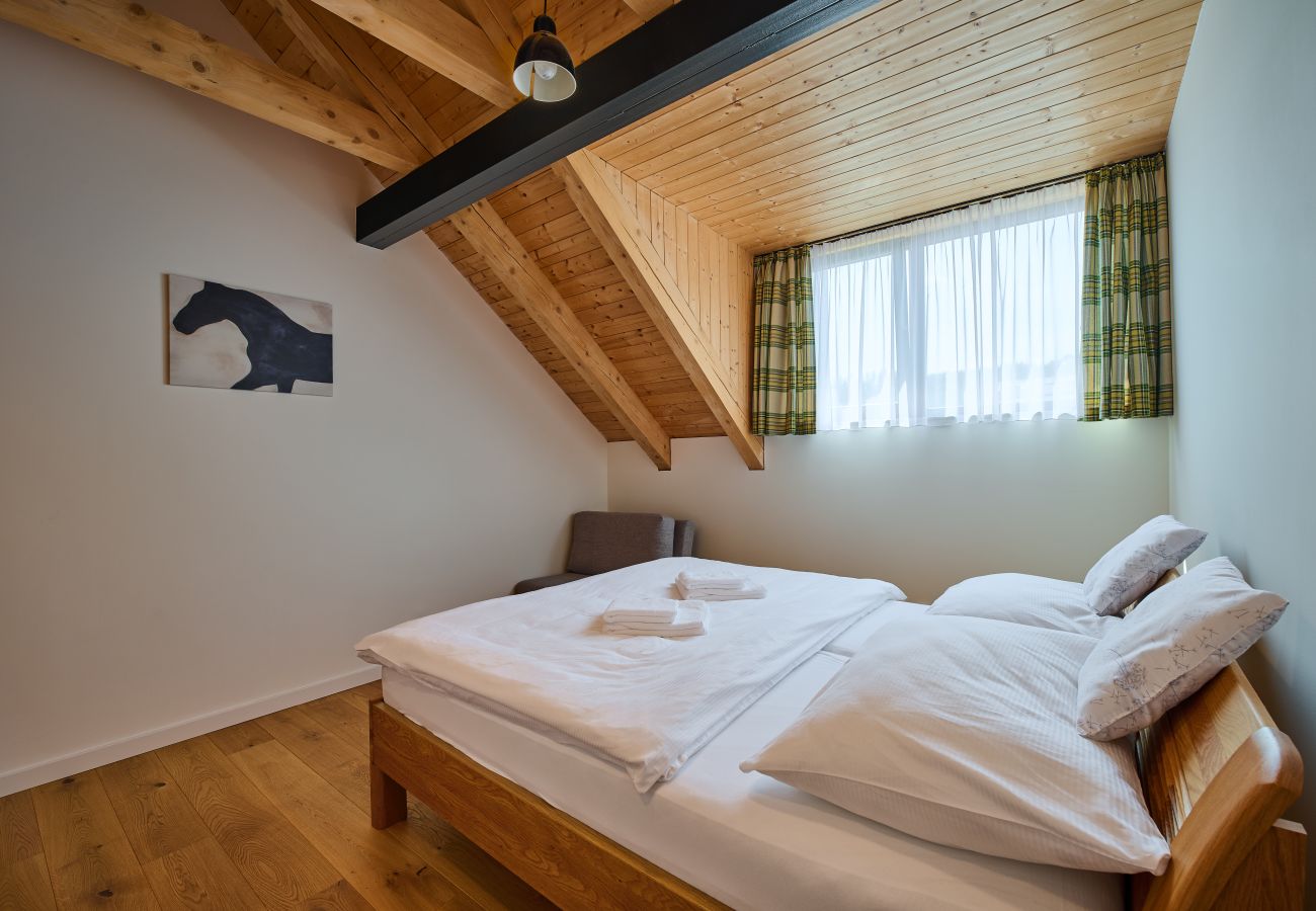 Ferienwohnung in Cerný Dul - Cerny Dul KCB045-B1