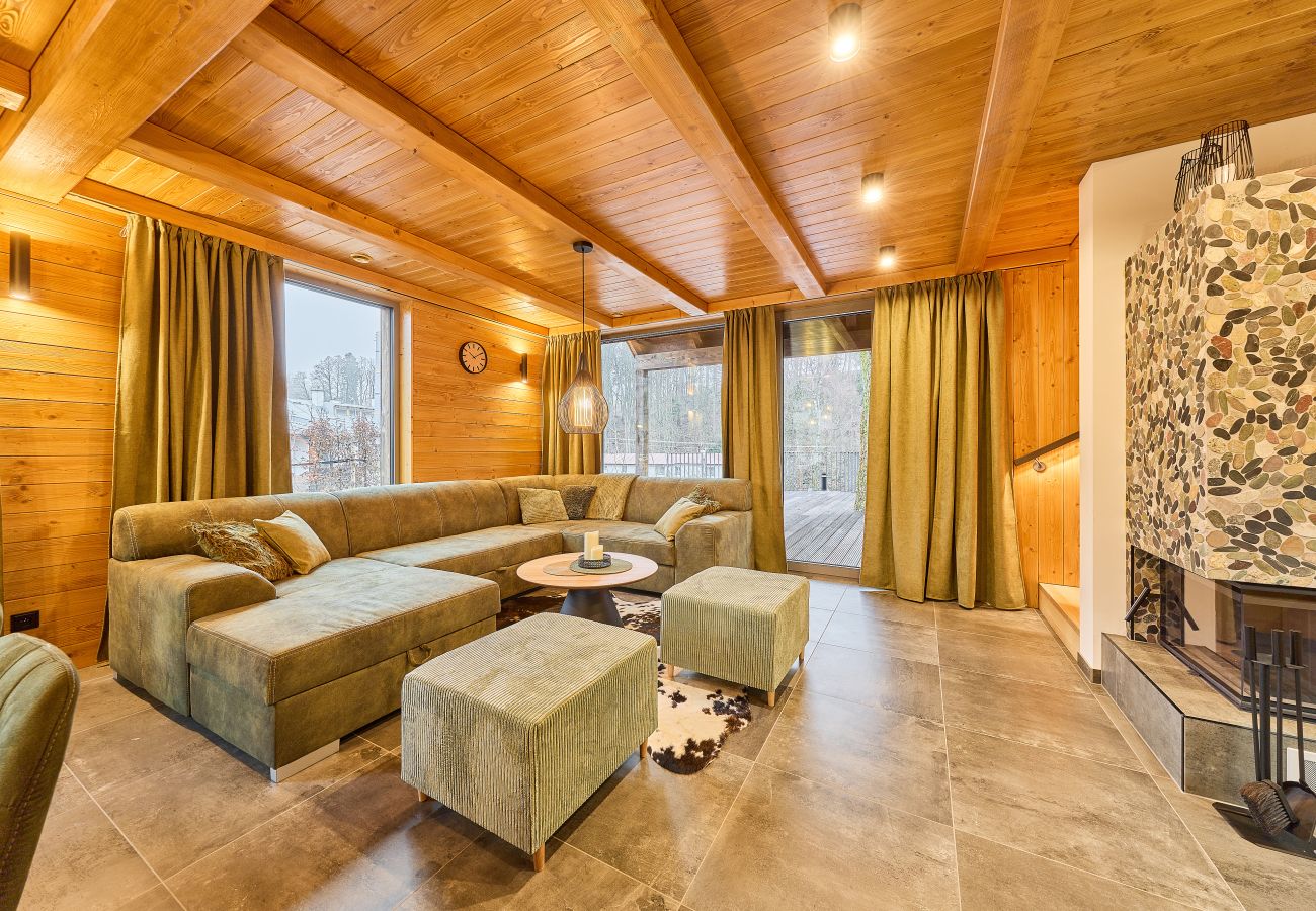 Villa in Cerný Dul - Luxury villa+Pool in Cerny Dul KCMC116