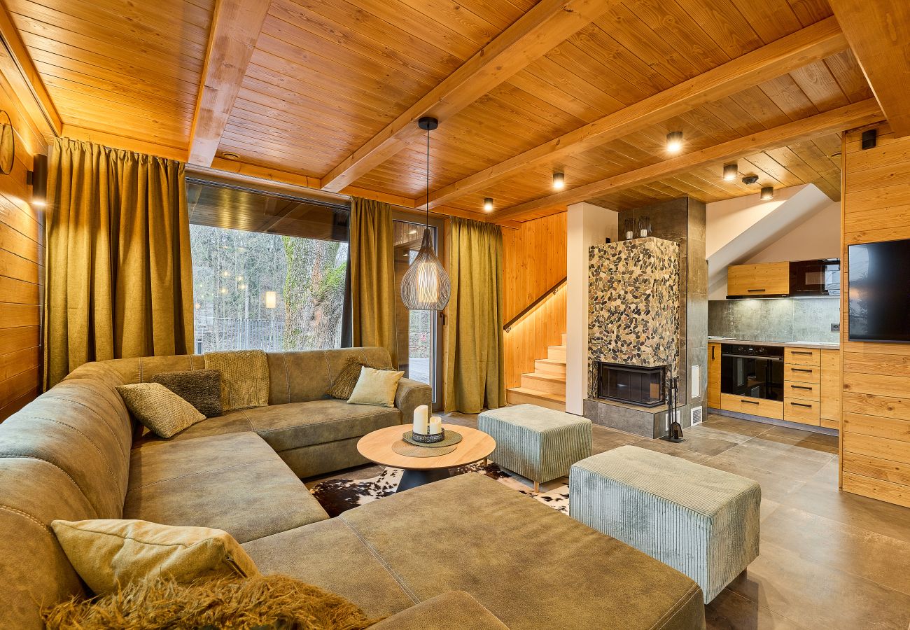 Villa in Cerný Dul - Luxury villa+Pool in Cerny Dul KCMC116