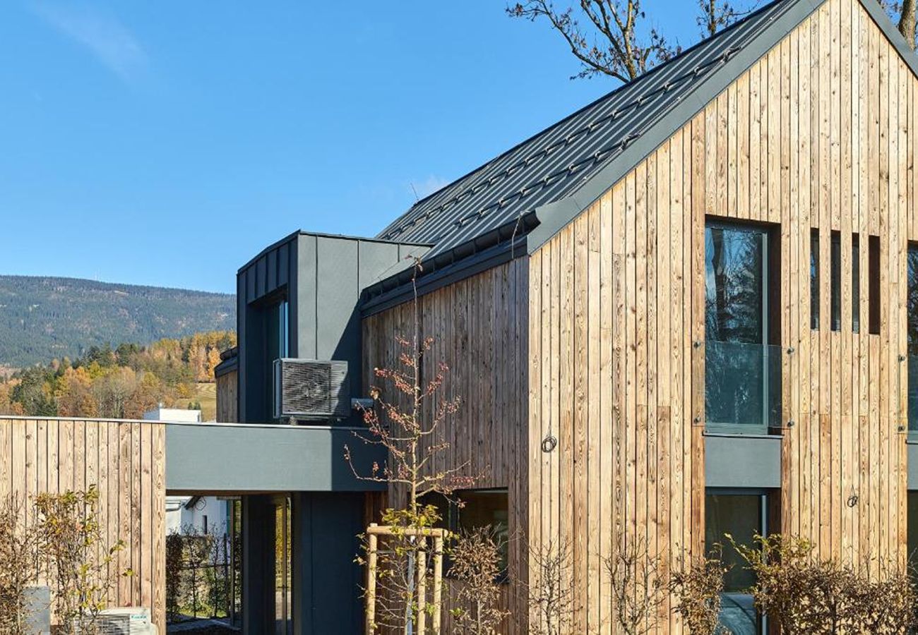 Villa in Cerný Dul - Luxury villa+Pool in Cerny Dul KCMC116