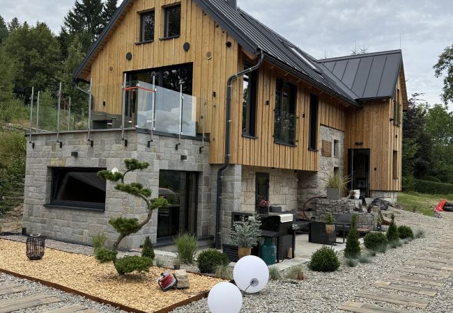 Villa in Jiretín pod Bukovou - LJJ060