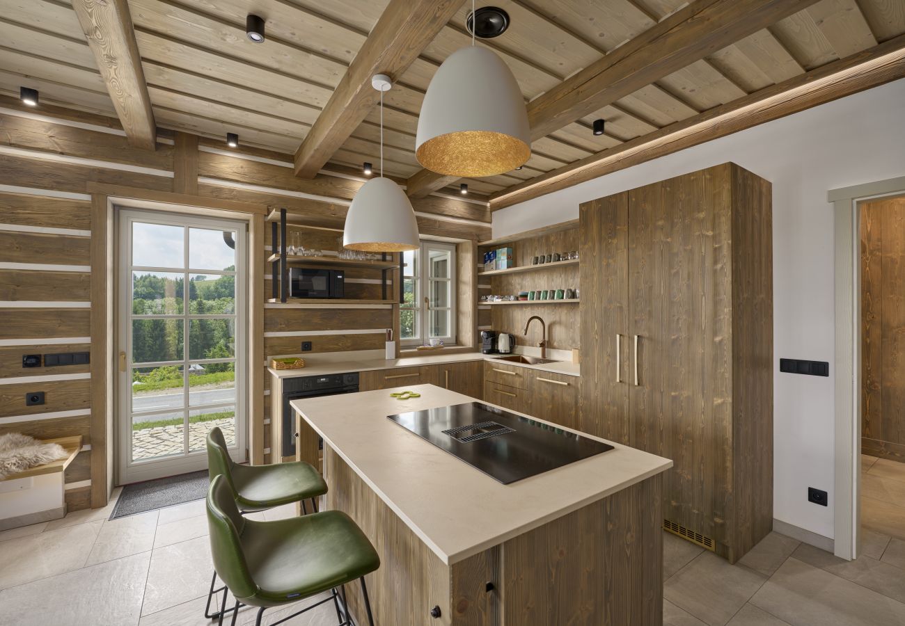 Villa in Roprachtice - LRBRA161