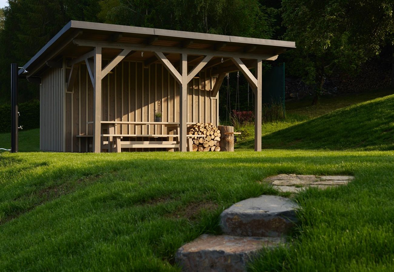 Villa in Roprachtice - Villa Semily LRBRA161