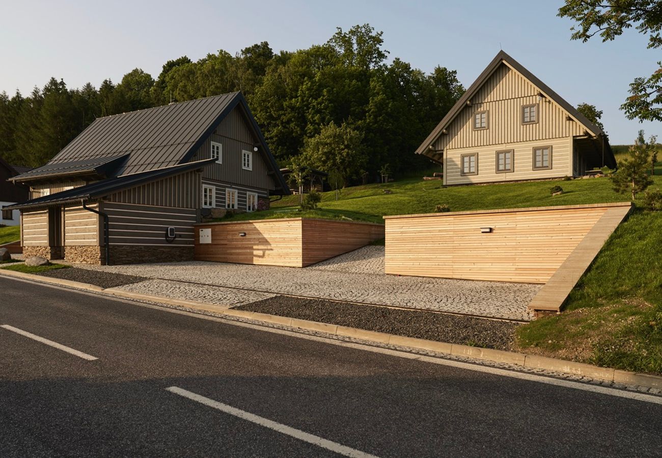 Villa in Roprachtice - Villa Semily LRBRA161