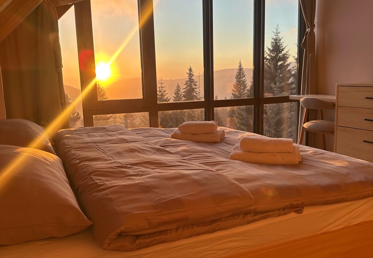 Villa in Vítkovice - Vitkovice LHM015