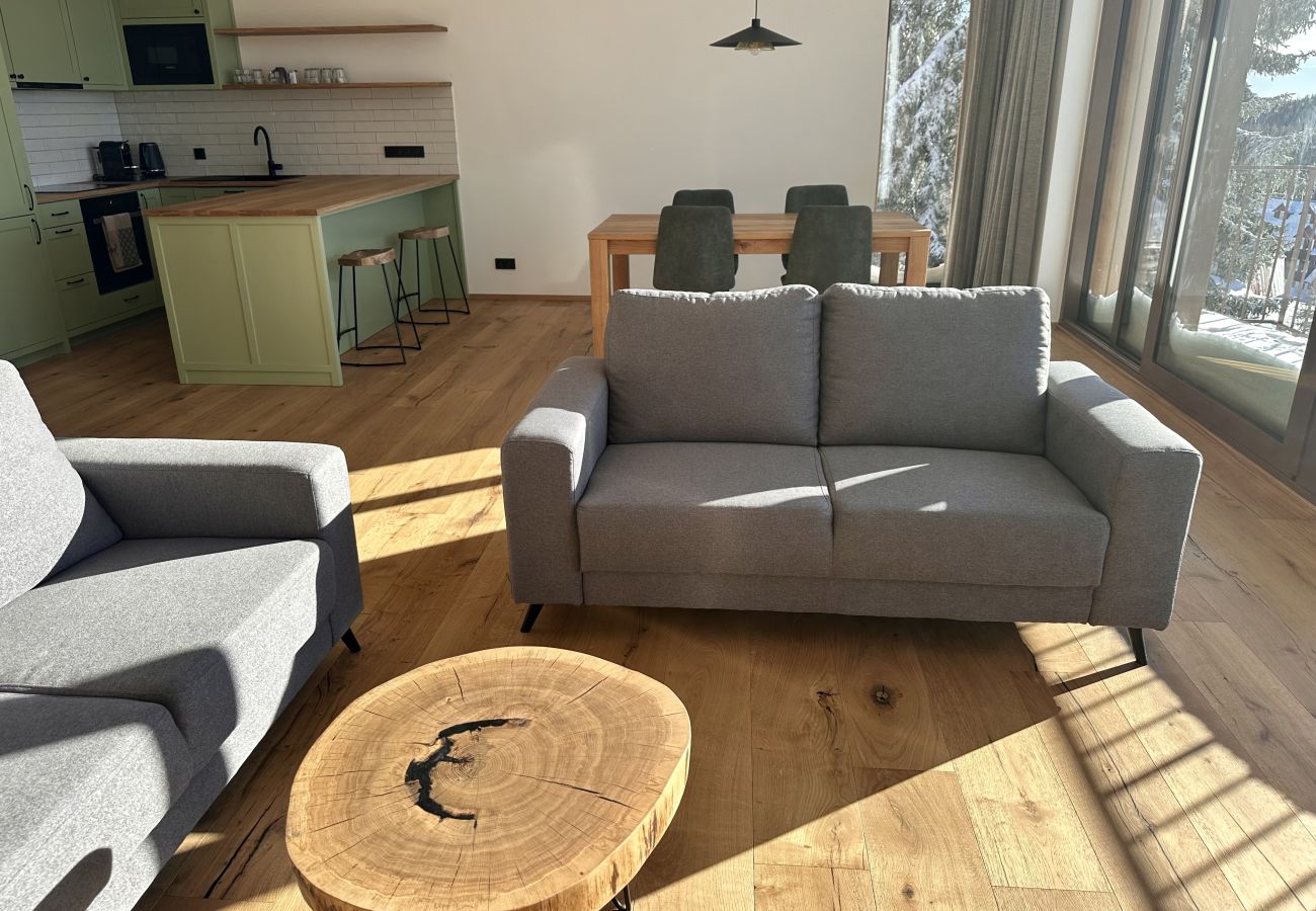 Villa in Vítkovice - Vitkovice LHM015