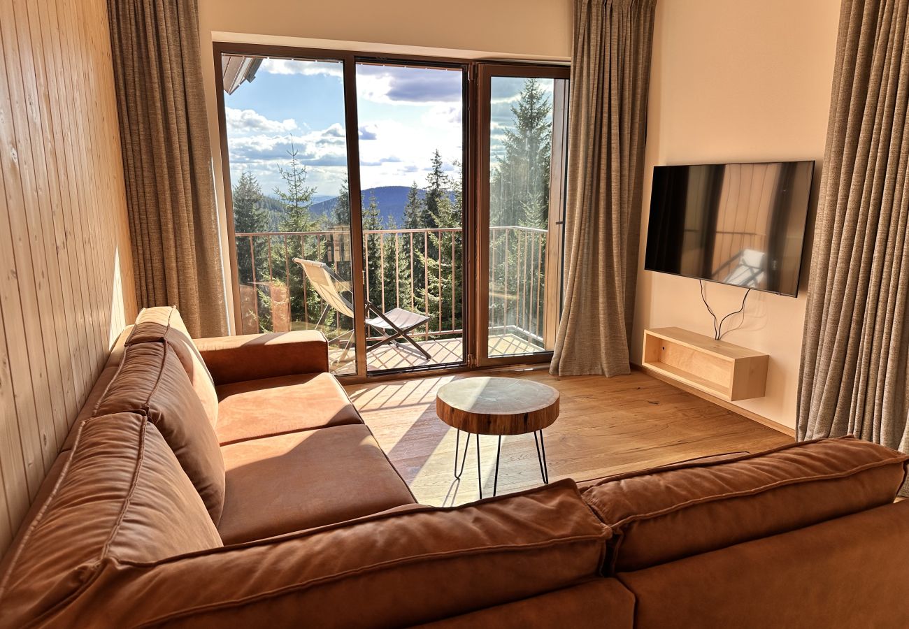 Villa in Vítkovice - Vitkovice LHM015