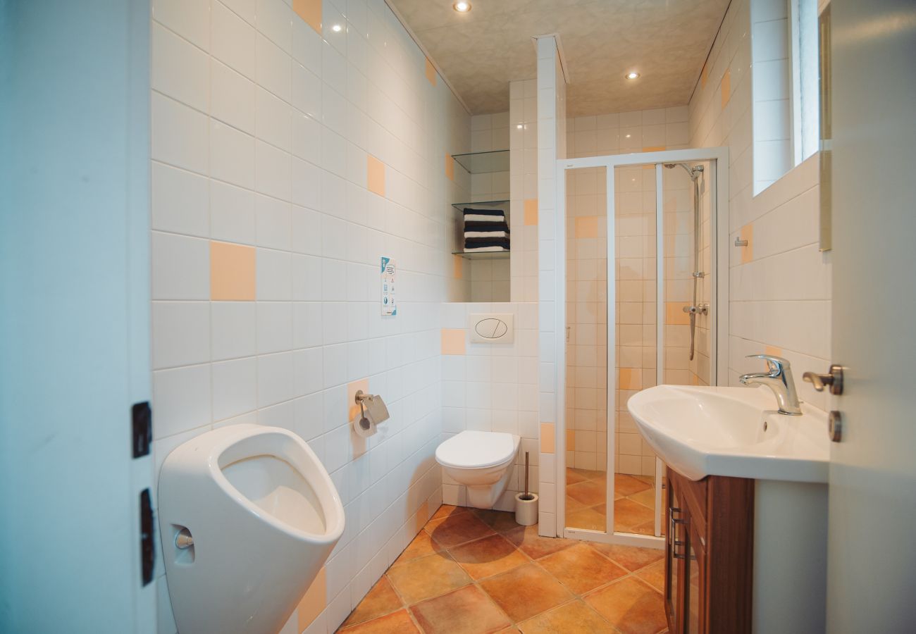 Villa in Staré Hobzí - SJL163 Jindřichův Hradec