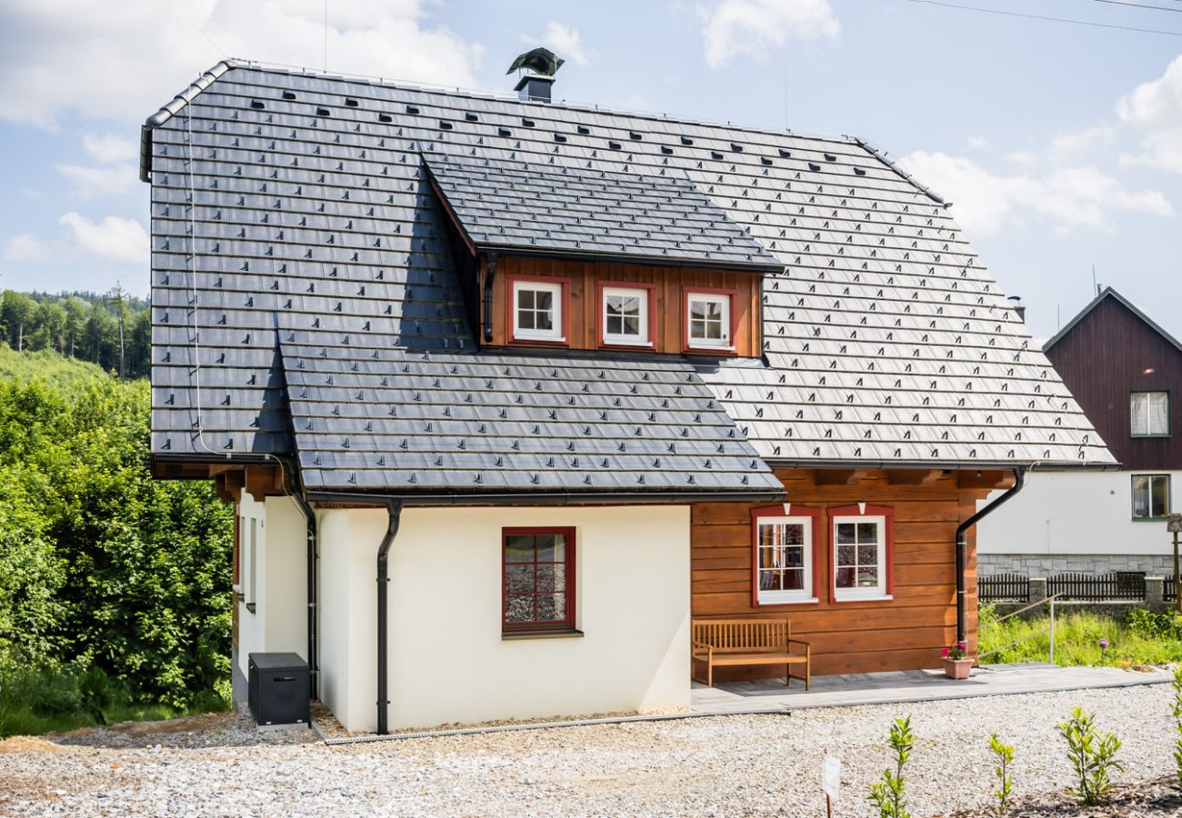 Villa in Branná - MBK171