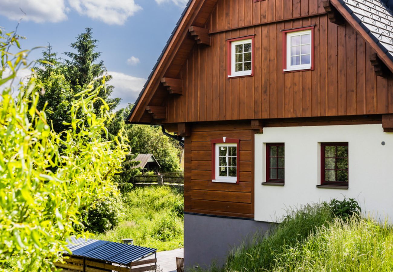 Villa in Branná - MBK171