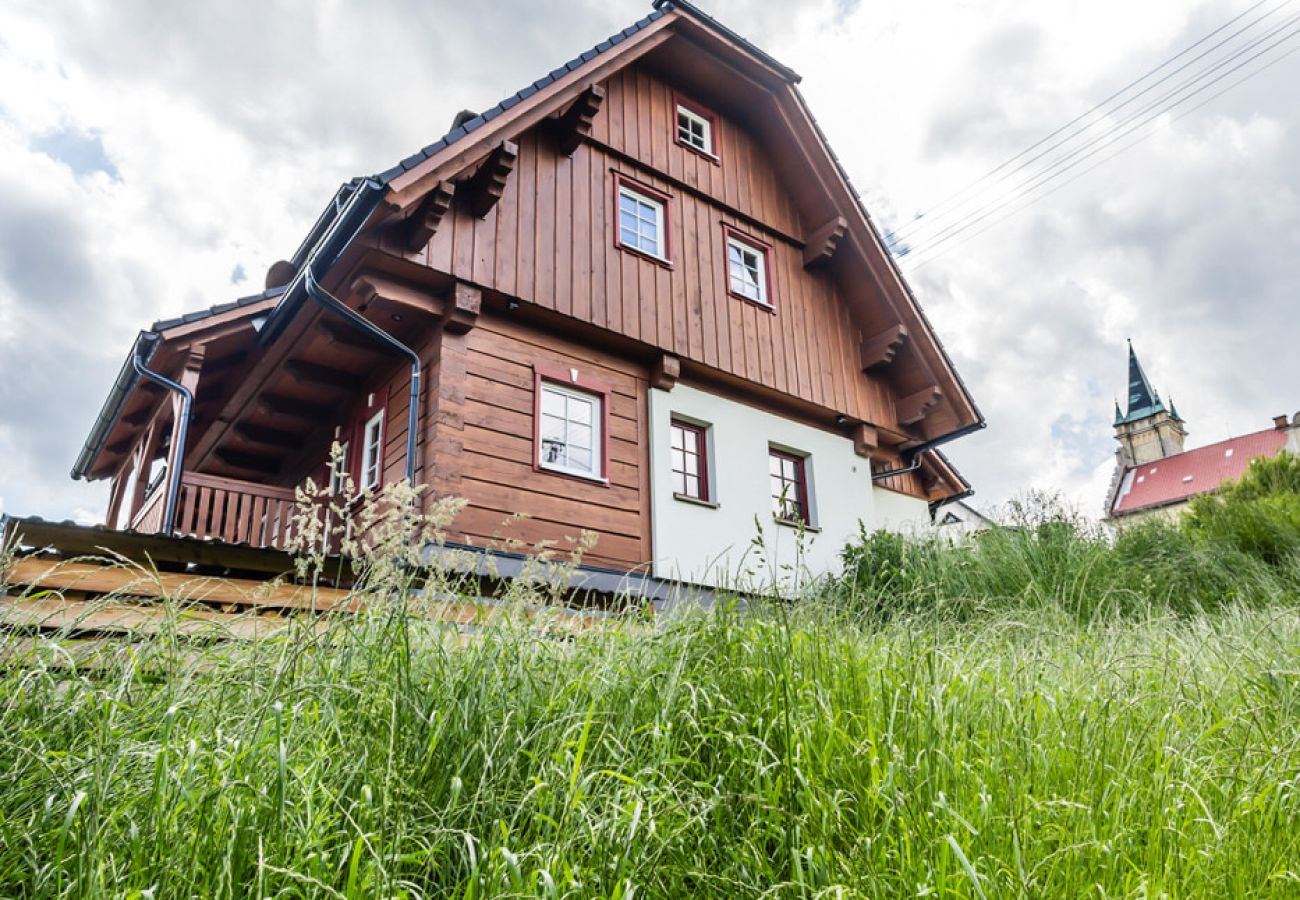 Villa in Branná - MBK171
