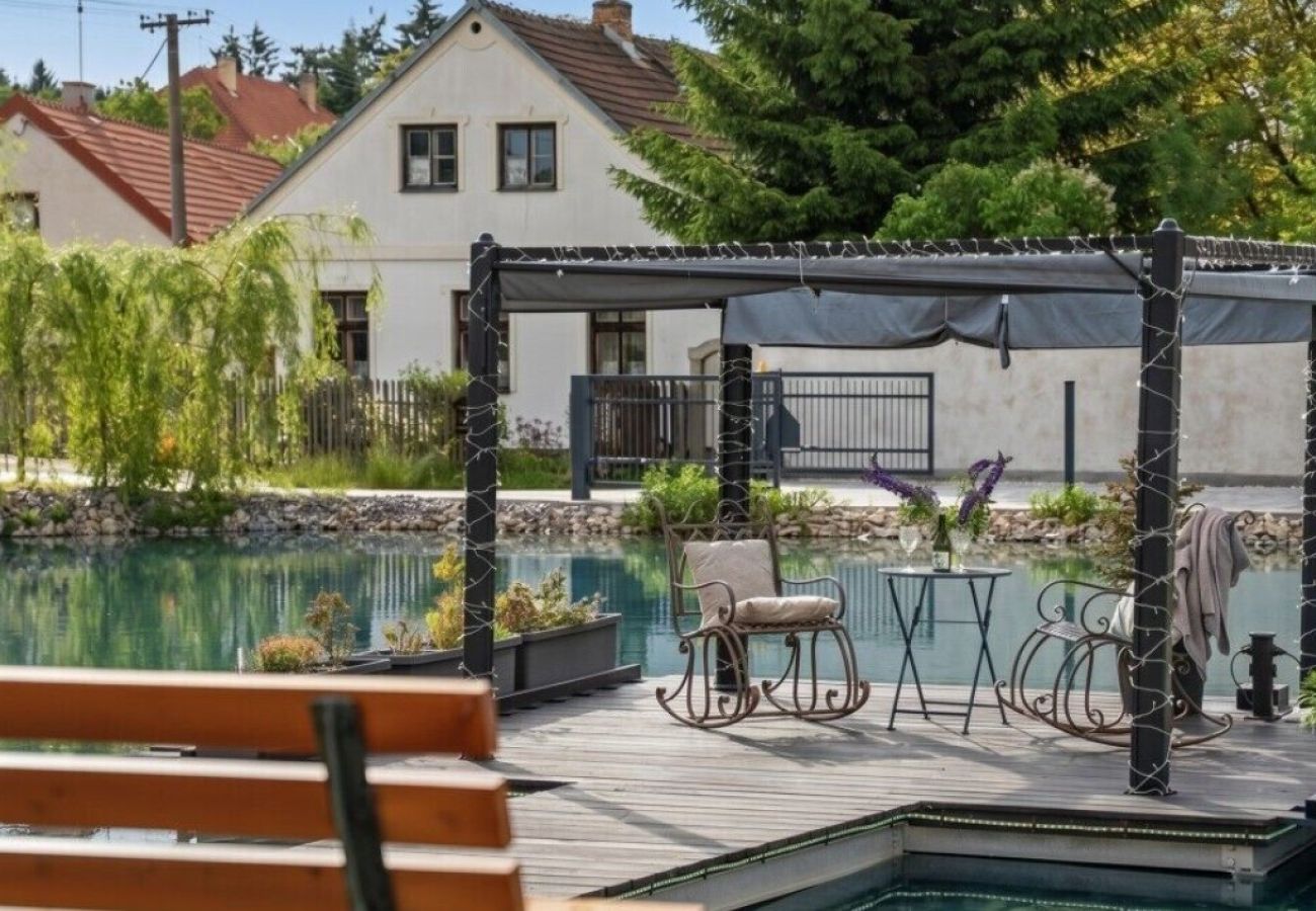 Villa in Pocátky - VPRE210