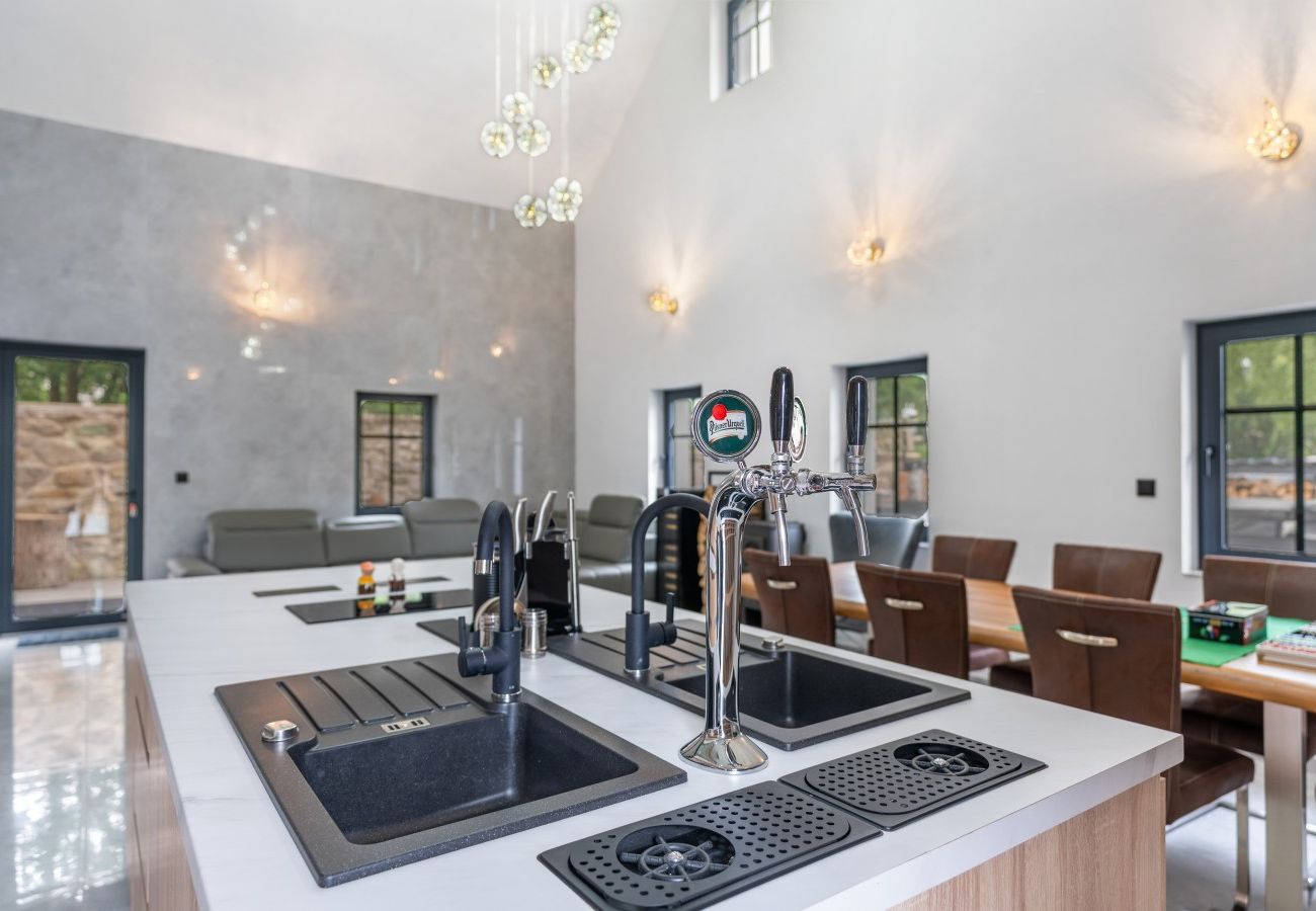 Villa in Pocátky - VPRE210