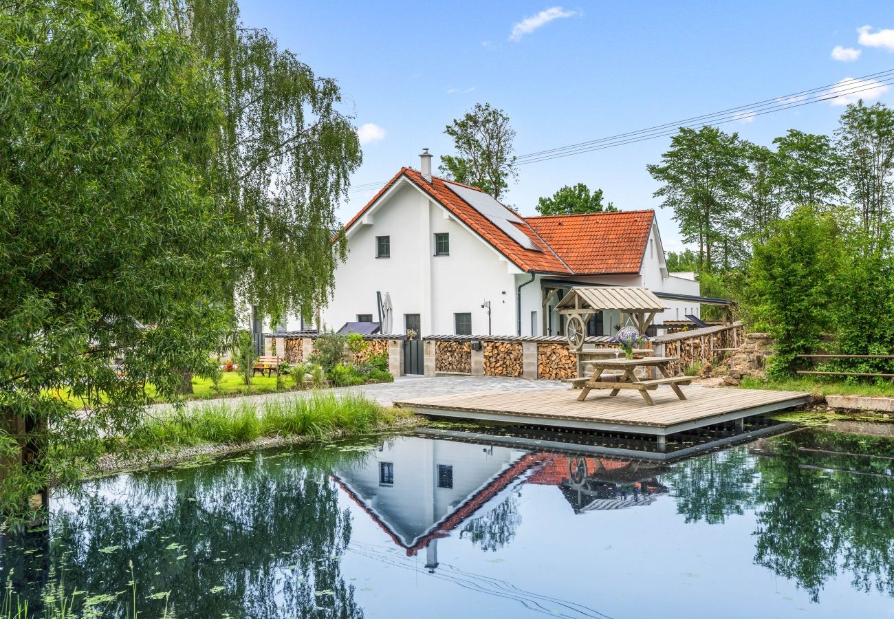 Villa in Pocátky - VPRE210
