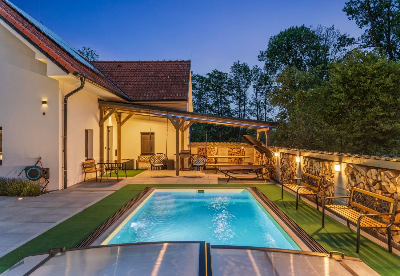Villa in Pocátky - VPRE210